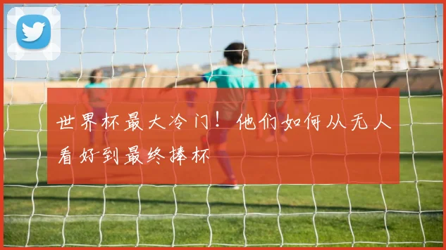 世界杯最大冷门！他们如何从无人看好到最终捧杯