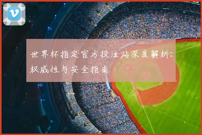 世界杯指定官方投注站深度解析：权威性与安全指南