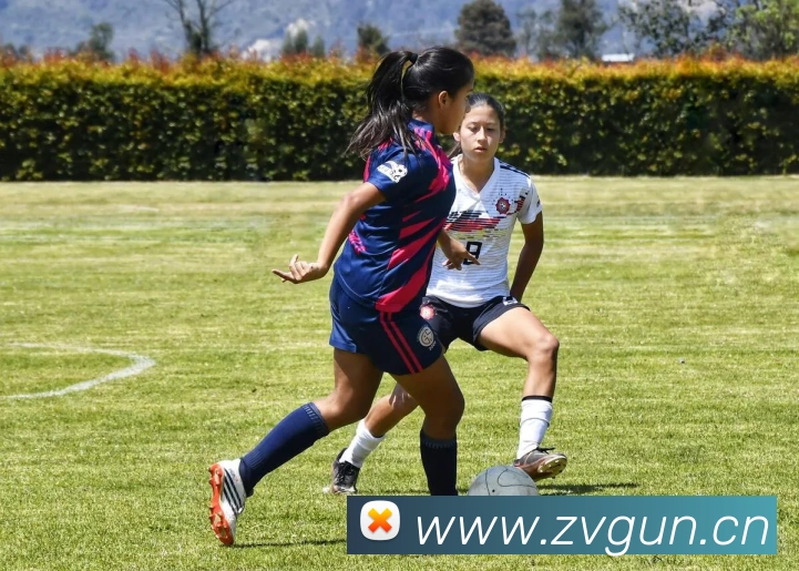 乐鱼体育官方登录平台生态图